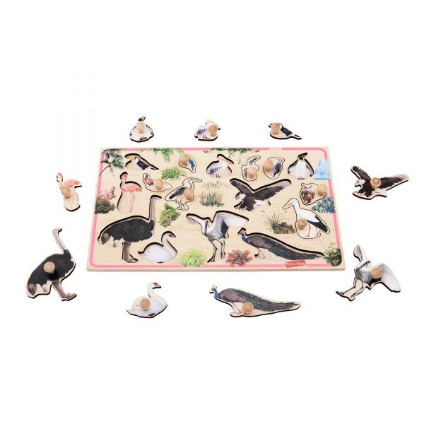 birds peg puzzle educational montessori material for babies toddlers children preschool